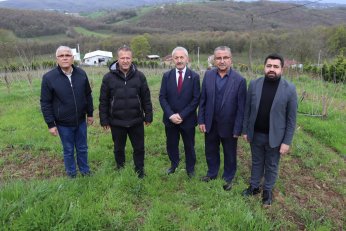İPEK BÖCEKLERİNDEN DE ÖZÜR DİLEMELİ