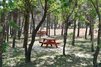 19 Mayıs’ta Kapılarını Açıyor
