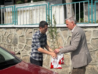Mezarlıklarda fide dağıtıldı