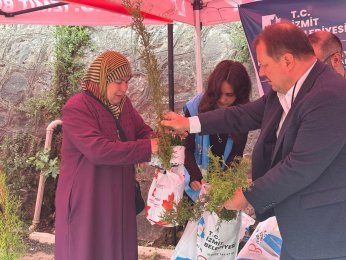 Mezarlıklarda fide dağıtıldı