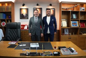Misafir Trafiği