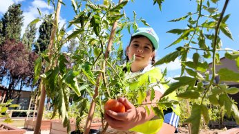 Lokomotif Çocuk Köyü Lotus’ta ilk hasat sevinci