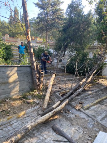 Mezarlıklara kesintisiz bakım