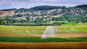 Kocaeli tarımında çift hasat dönemi