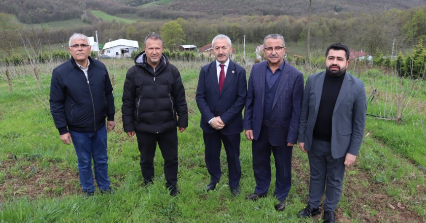 İPEK BÖCEKLERİNDEN DE ÖZÜR DİLEMELİ