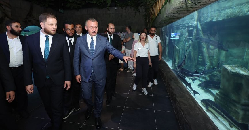 Hama’nın ihyasına güç katacak
