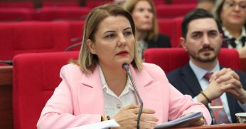 “İzmit’te sokak hayvanlarına modern yaşam alanı geliyor”