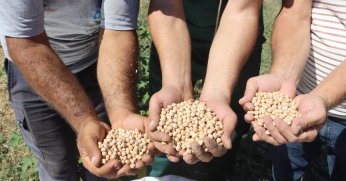 vatandaşın sofrasına bereket olacak